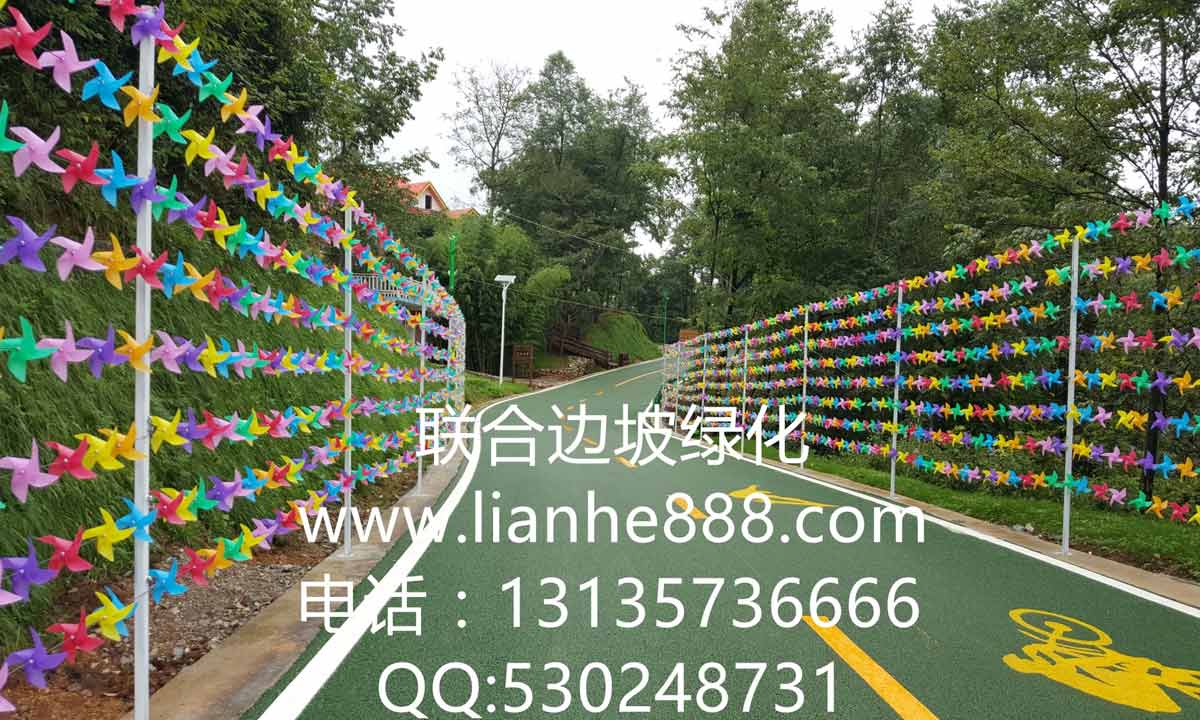 貴州六盤水大河堡國學館風景旅游區邊坡復綠