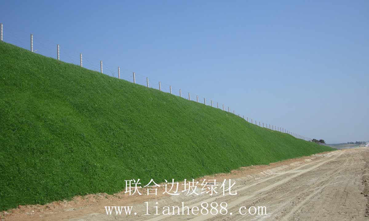 河南省駐馬店焦桐高速三標(biāo)段邊坡綠化項(xiàng)目