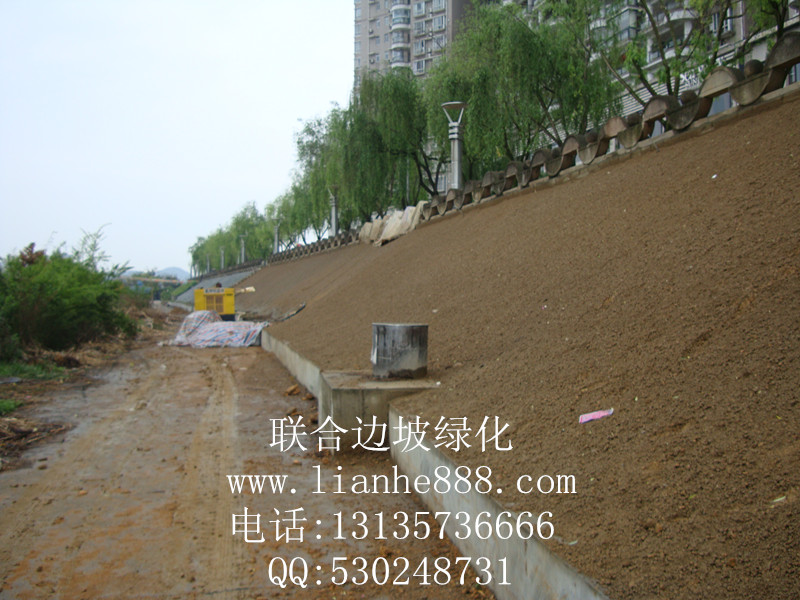 1716625375437934.jpg 20180110141910138.jpg