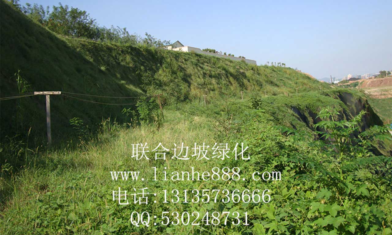 1716884962715317.jpg 20180109181328186.jpg