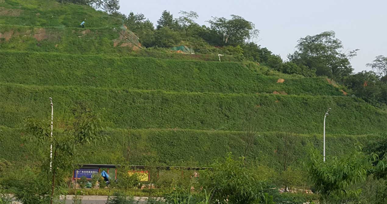 1717069887139242.jpg 20180811093716486.jpg