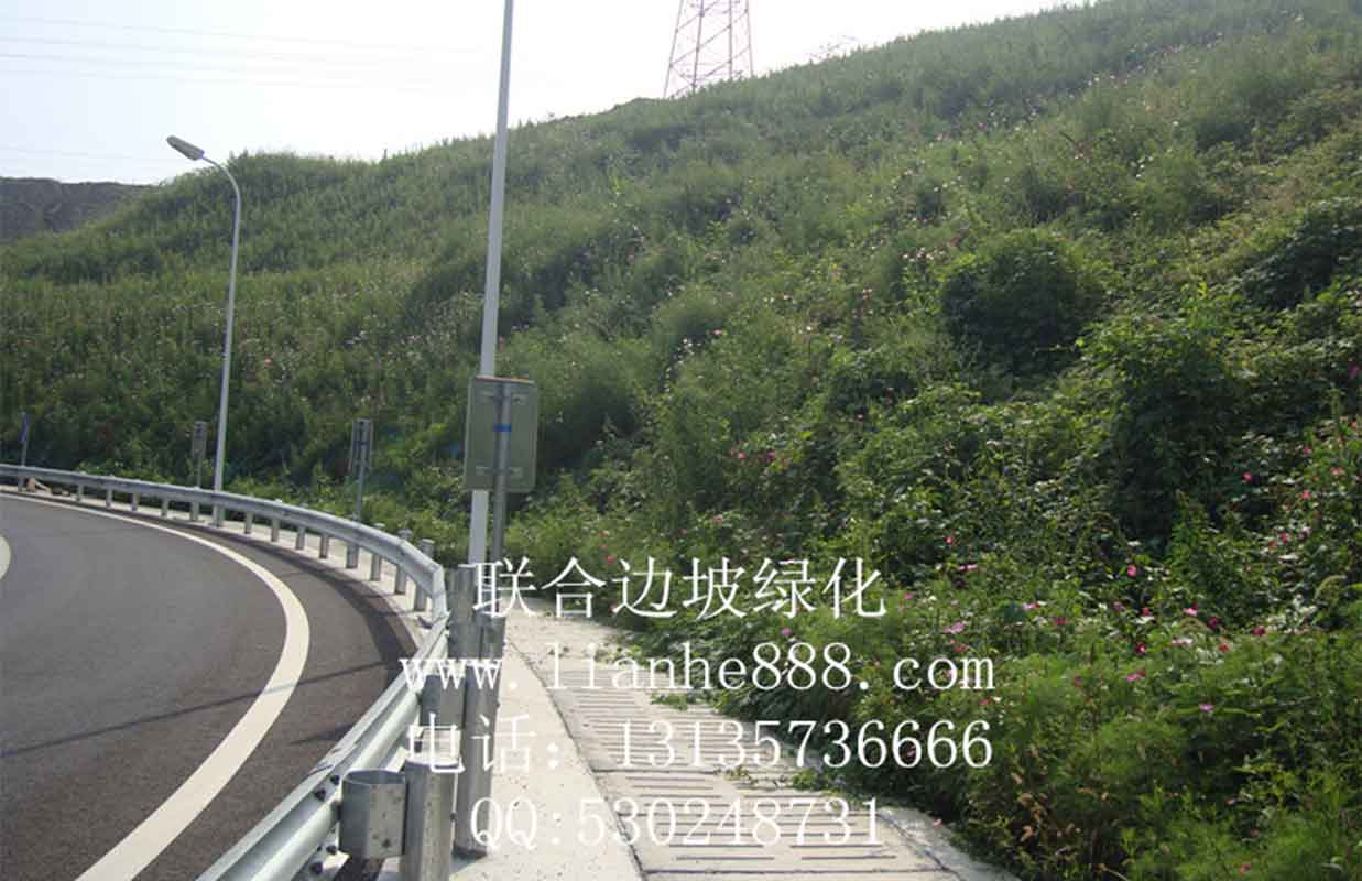 1717143987116874.jpg 20180109200316771.jpg