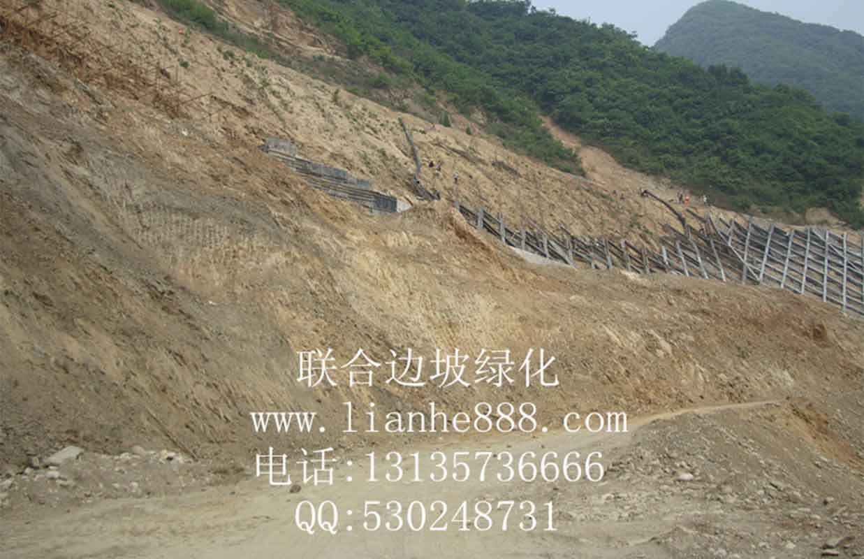 1717144278526924.jpg 20180110190056846.jpg