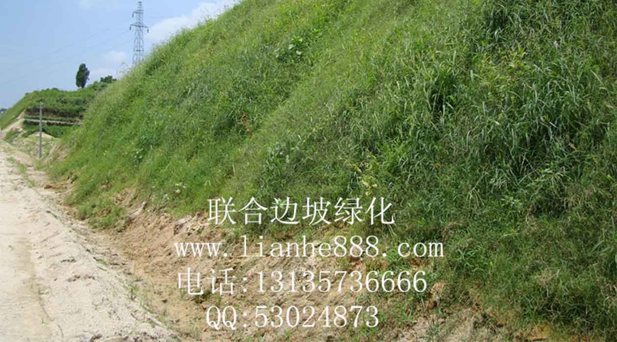 1717401970716177.jpg 20180110165359795.jpg