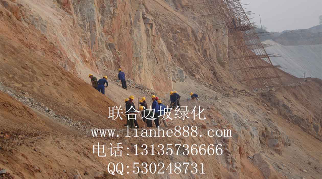 1717402467138579.jpg 20180110165957716.jpg