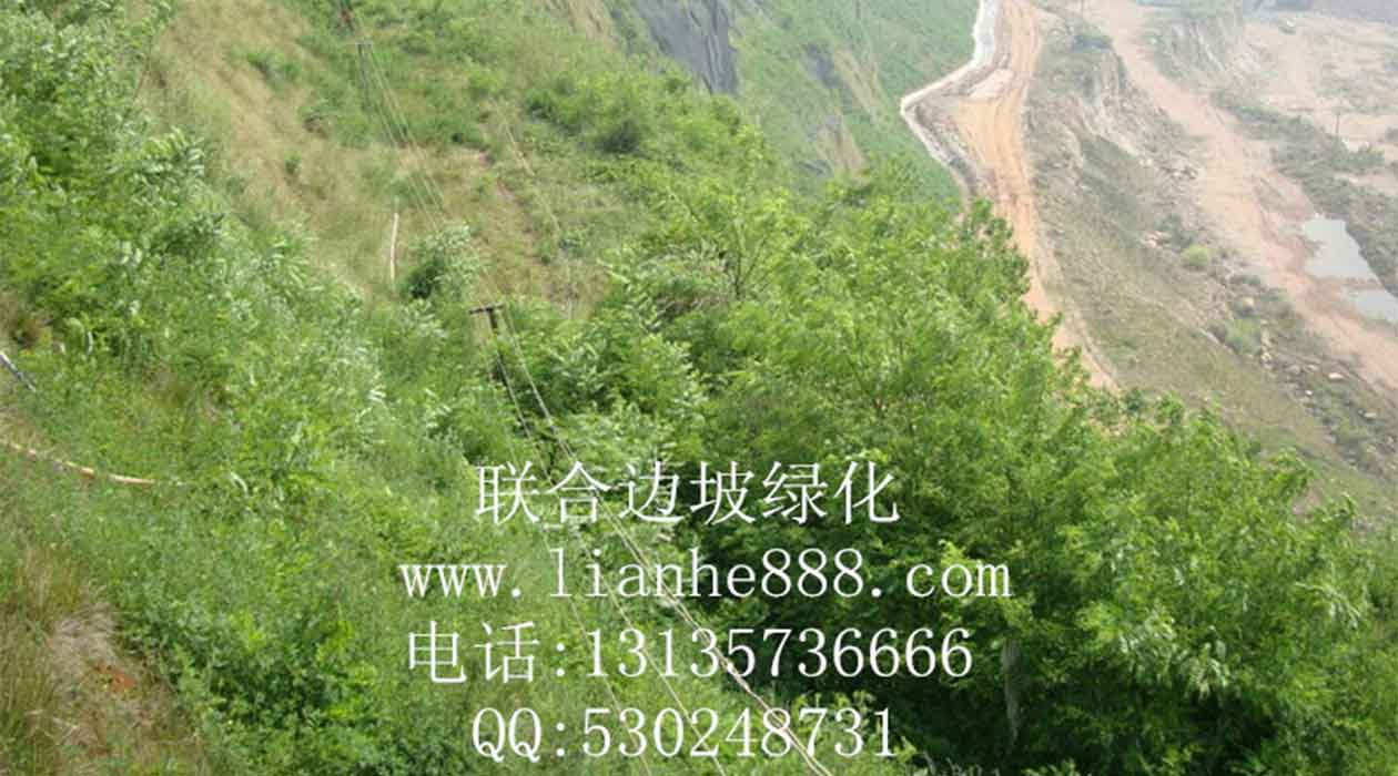 1717402479121913.jpg 20180110170016183.jpg