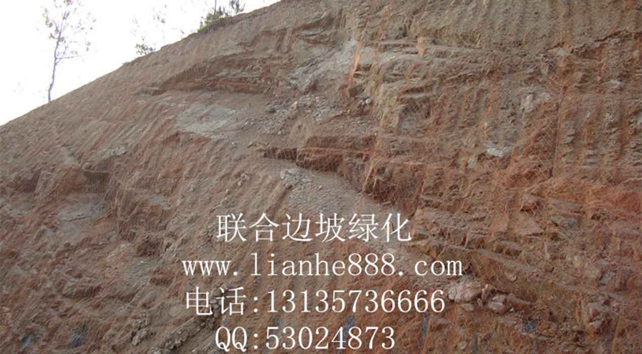 1718074005131208.jpg 20180110165332229.jpg