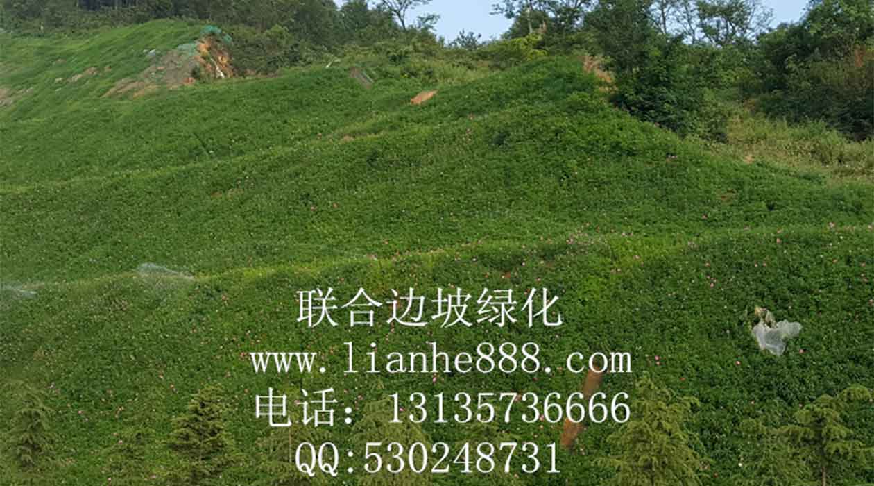 1718182919147728.jpg 20180811093724516.jpg