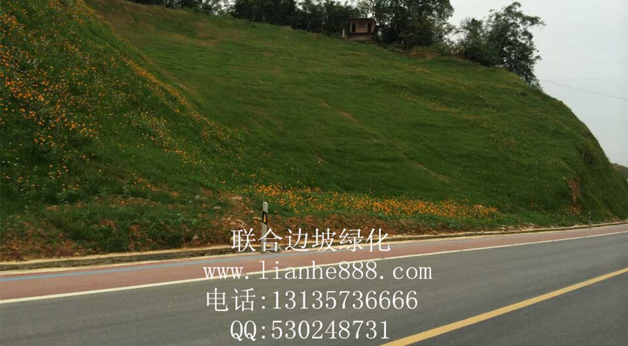 1718439641913134.jpg 20240607143623.jpg