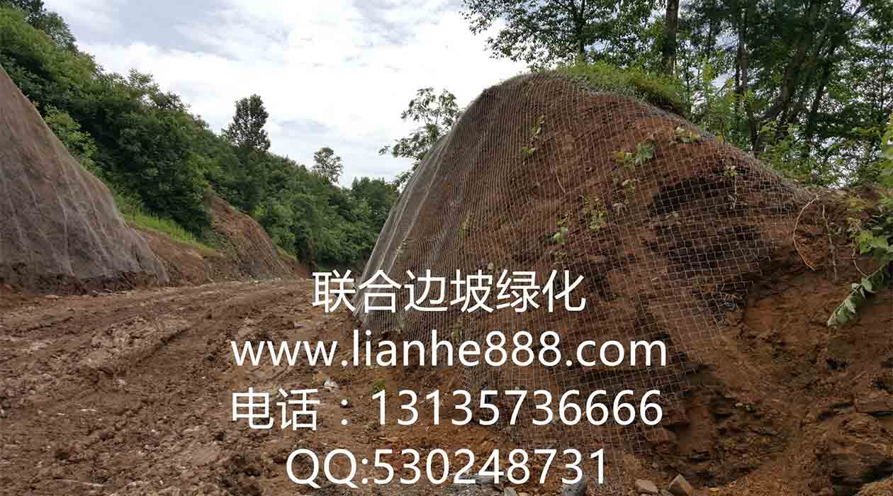 1719816735768375.jpg 三維網(wǎng).jpg