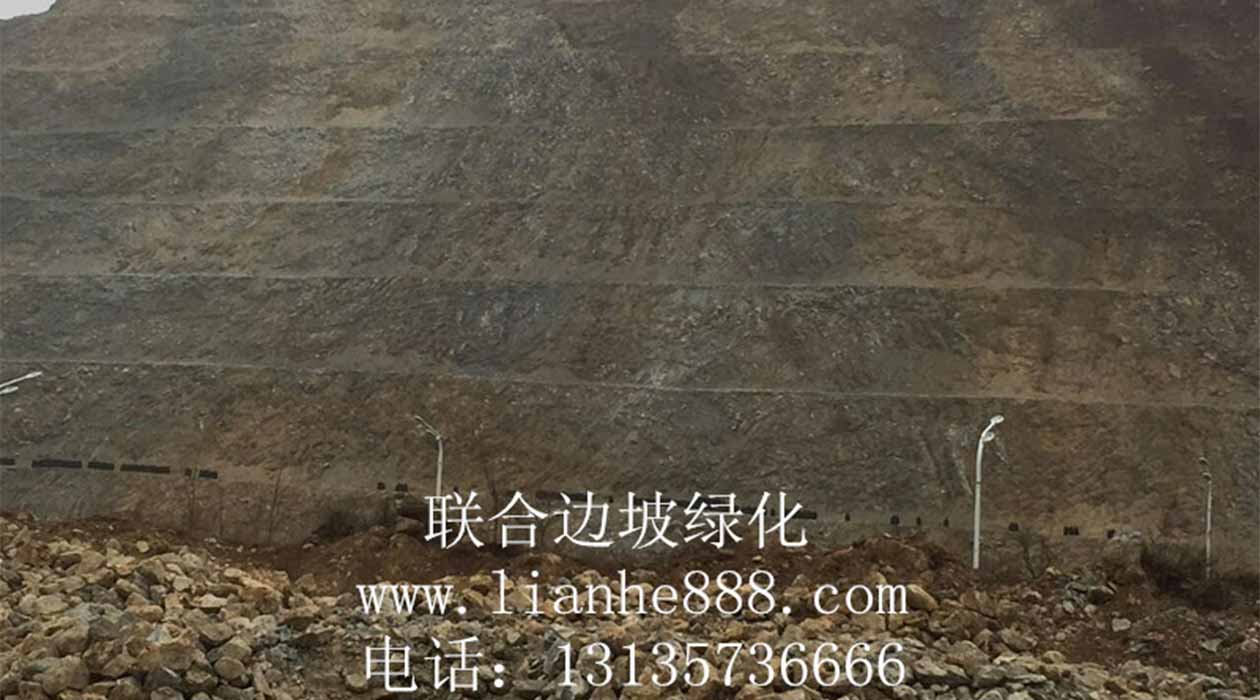 1719817030103590.jpg 客土噴播.jpg