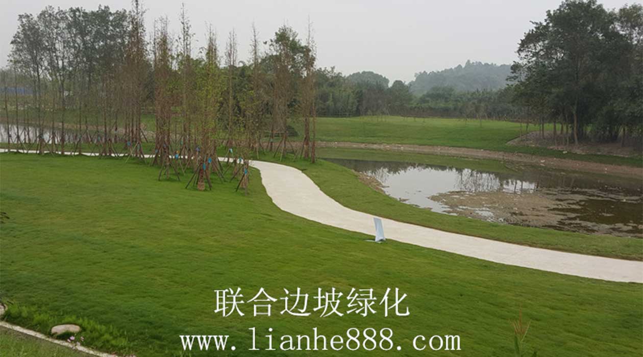 1720074342125080.jpg 三維網噴播.jpg