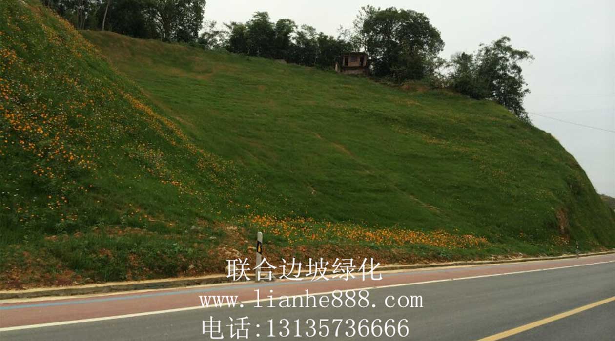 1720074612997476.jpg 掛網客土.jpg